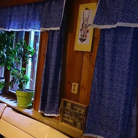 Mir 招待所 3*