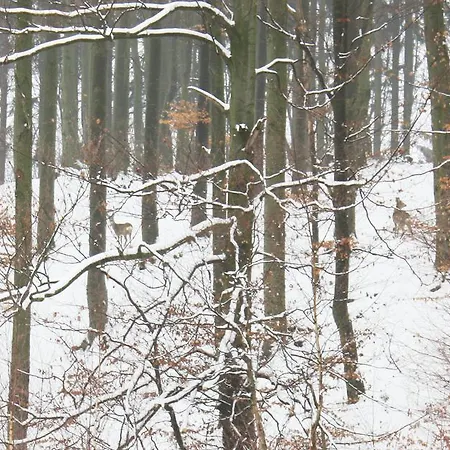 Gasthof Mir 3*