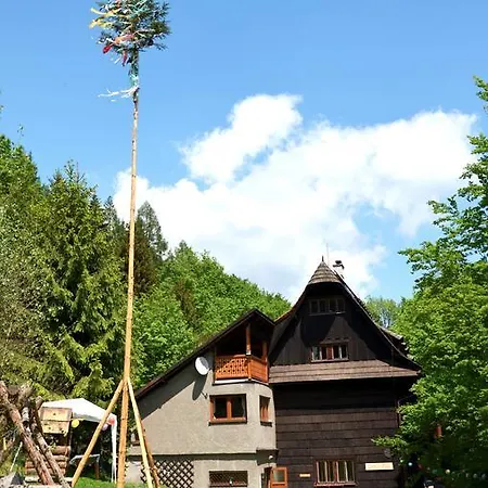 Mir